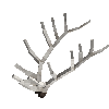 antler-elk-07