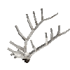 antler-elk-08