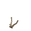 antler-fallow-02