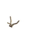 antler-fallow-03