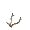 antler-fallow-04