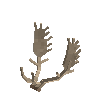 antler-fallow-06