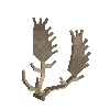 antler-fallow-07