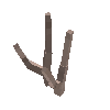 antler-guemal-05