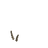 antler-ibexalp-01