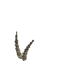 antler-ibexalp-03