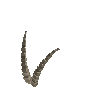 antler-ibexalp-04
