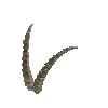 antler-ibexalp-05