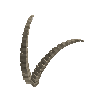antler-ibexalp-06