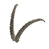 antler-ibexalp-07