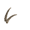 antler-ibexnub-03
