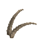antler-ibexnub-04