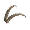 antler-ibexnub-05