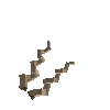 antler-markhor-05