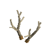 antler-marsh-05