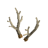 antler-marsh-06