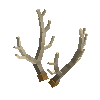 antler-marsh-07