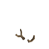 antler-moose-01