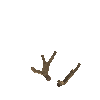 antler-moose-02