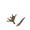 antler-moose-04