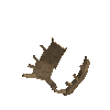 antler-moose-05