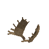antler-moose-06