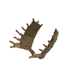 antler-moose-07