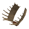 antler-moose-09