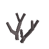 antler-pampas-06