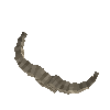 antler-turdag-04