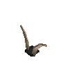 antler-valais-03