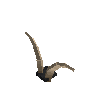 antler-valais-04