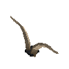 antler-valais-06