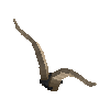 antler-valais-07