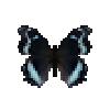 butterfly-dead-blueadmiral