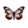 butterfly-dead-chestnuttiger