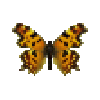 butterfly-dead-comma