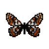butterfly-dead-cynthiasfritillarymale