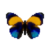 butterfly-dead-dottedglory