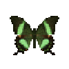 butterfly-dead-emeraldswallowtail
