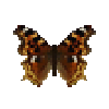 butterfly-dead-falsecomma