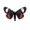 butterfly-dead-grapevineepimenis
