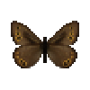 butterfly-dead-juttaarctic