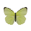 butterfly-dead-lemonemigrantalcmeoneformmale