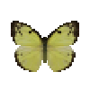 butterfly-dead-lemonemigrantfemale