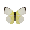 butterfly-dead-lemonemigranthilariaformmale