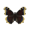 butterfly-dead-mourningcloak