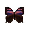 butterfly-dead-nessusleafwingmale