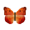 butterfly-dead-orangebarredsulphurthalestrisredfemale