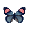 butterfly-dead-paintedbeauty